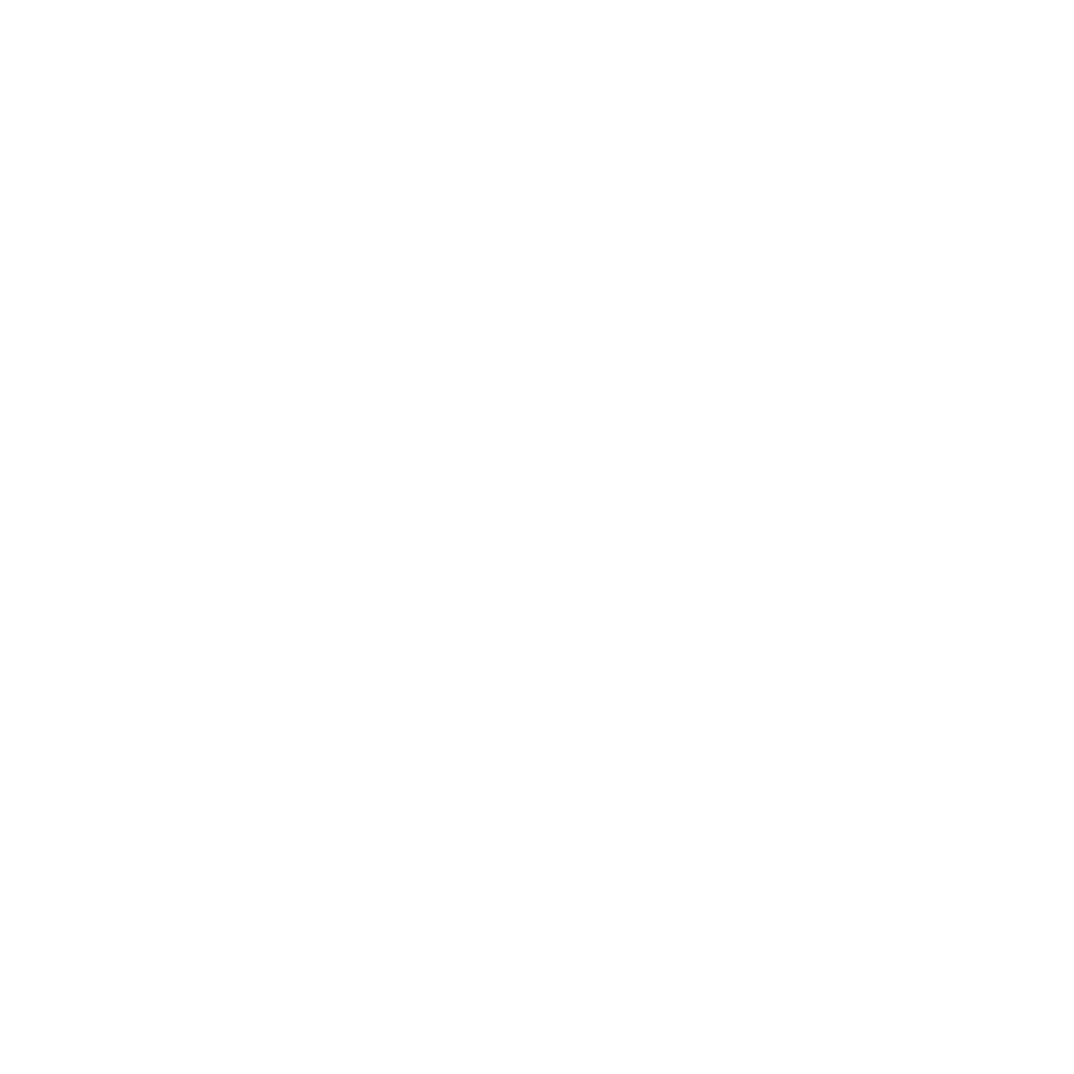 Neocortex Logo Asset