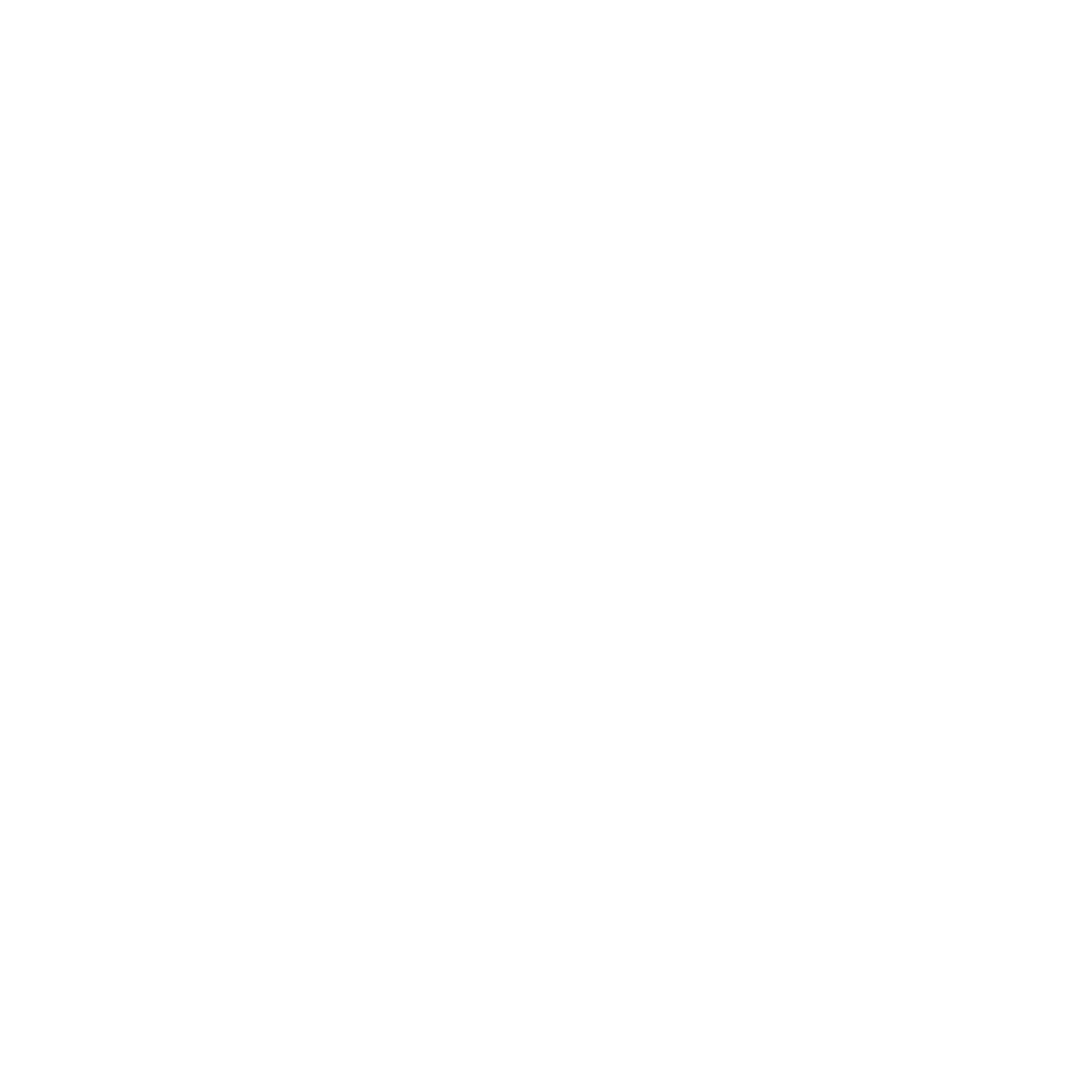 Neocortex Logo Asset